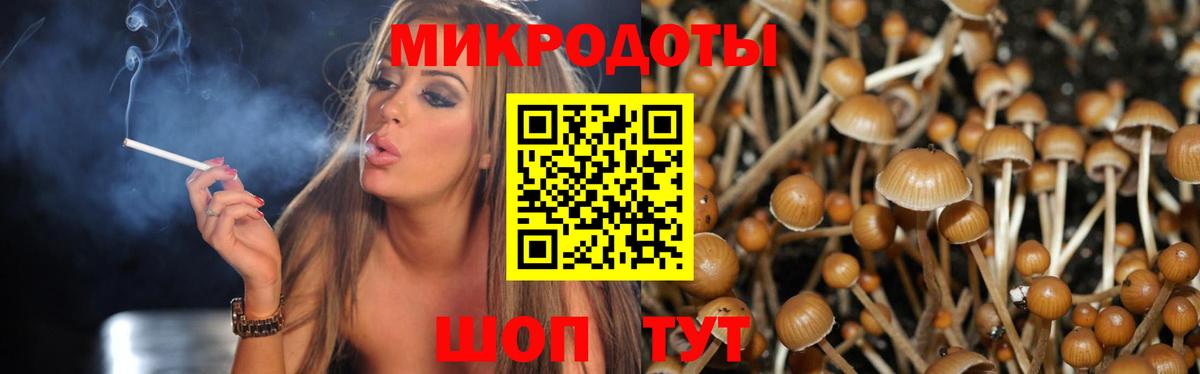 Псилоцибиновые грибы MAGIC MUSHROOMS Лениногорск